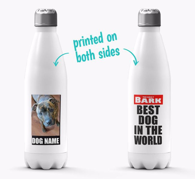 'Best Dog in the World'- Personalised Photo Upload {breedFullName} Water Bottle
